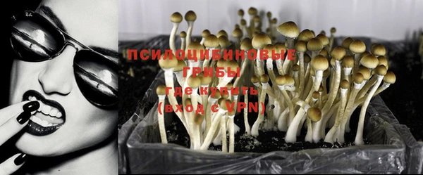 амф Лабытнанги