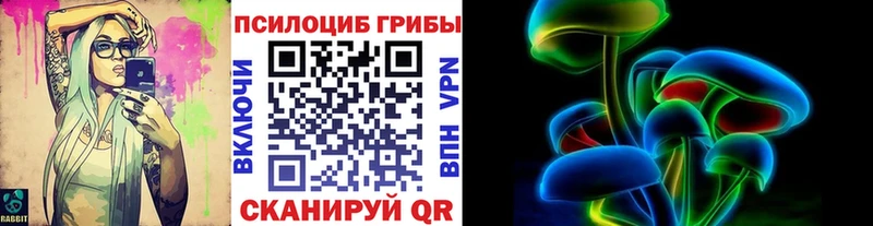 Купить где  Кадников  Галлюциногенные грибы Psilocybine cubensis 