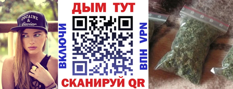 Купить закладки  Кадников  Шишки марихуана Ganja 